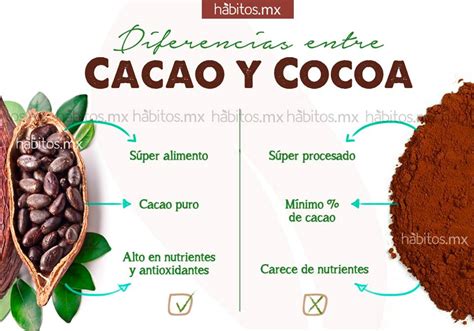 cocoa y cacao es lo mismo-1